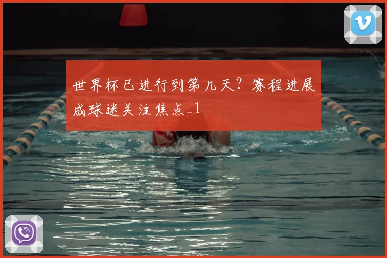 世界杯已进行到第几天？赛程进展成球迷关注焦点_1