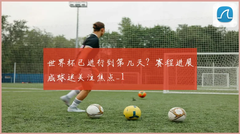 世界杯已进行到第几天？赛程进展成球迷关注焦点_1