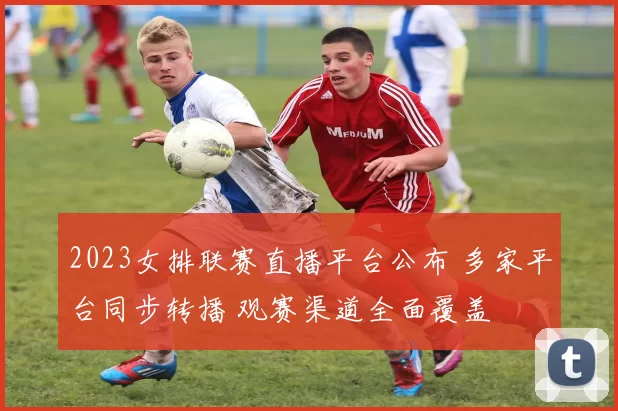 2023女排联赛直播平台公布 多家平台同步转播 观赛渠道全面覆盖