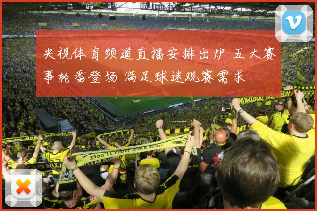 央视体育频道直播安排出炉 五大赛事轮番登场 满足球迷观赛需求