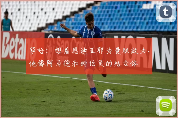 萨哈:想看恩迪亚耶为曼联效力,他像阿马德和姆伯莫的结合体