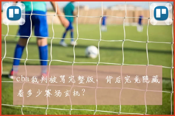 cba裁判被骂完整版，背后究竟隐藏着多少赛场玄机？