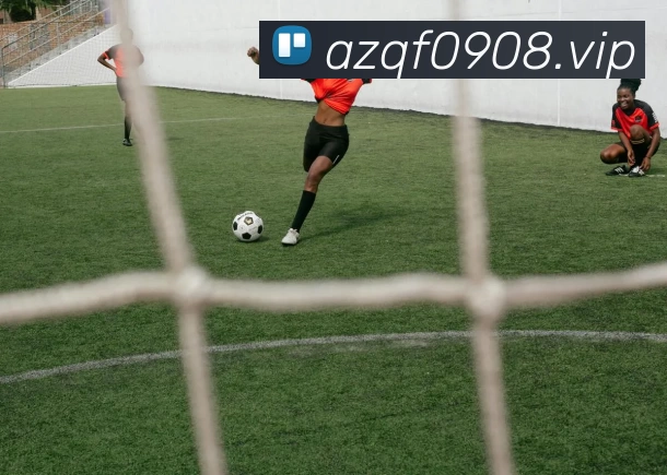 kaiyun体育在线登陆入口(China)官方网站服务体系